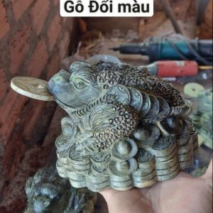 Cóc thiềm thừ BẰNG TRANG